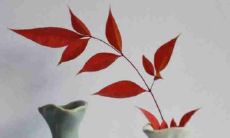 一些关于深厚亲密友谊的备受推崇的、启发性的句子集锦