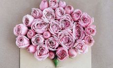 一些能够表达真挚友谊的长句子，以及它们的意义