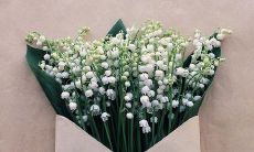 如何在留言中表达真挚的友情感受——一些简短但有力的句子建议