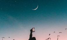 如何应对在自我评价中看到自己不满意的句子？