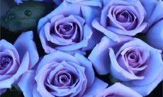 友情和爱情与推理之间存在着怎样的关系？探讨推理在人际关系中的作用