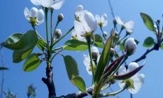 探索古老智慧，营造美好生活的艺术：从传统到现代，用文案句子拥抱简单、真挚、充实的人生