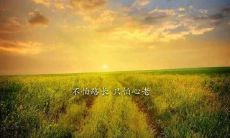 打造有力的创业团队口号:让您的公司脱颖而出,充满动力与前景