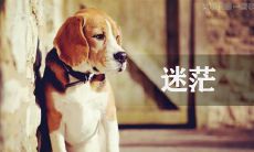 当你面对意义的缺失时，如何在人生中寻找意义？