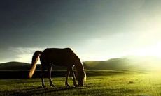 工作对人生的启示：体验成长的过程中，汲取智慧与快乐