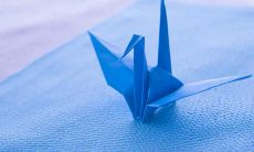 如何给生病的小孩发一条温暖关心的问候短信?