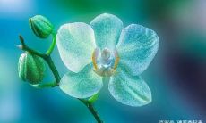 探究亲情主题：我体验到的家庭情感、想念亲人的句子和传递感悟的发说说之旅