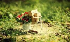 尽情痛饮酒精，直至心灵破裂：一个句子的深刻寓意