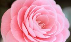 憾人心、破于根的痛苦 - 表达对背叛友谊的深刻失望之言