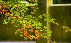 一百句祝你开心快乐的搞笑话，让你笑得前仰后合，忘却烦恼、全身畅快好心情