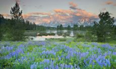 深感开心的形容中奖的句子——获奖使我充满愉悦之情！