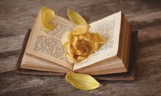 在干净文艺且励志的语句中寻找启示——探索中英双语世界的美好