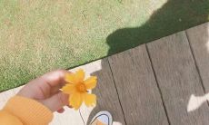 与艺术气息相融合的优美句子,更加典雅和深刻
