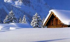 华美的针线艺术：用纺织之美编织而成的纤细花卉，细腻精致的绣线交织裳衣的繁华人生