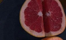 优美、简洁、朴素:让人感到唯美纯粹的句子