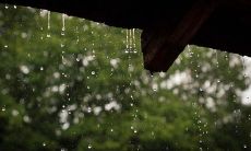 绚烂多彩的雨景诗句:满怀忧伤的心灵所需的悲凉诗词大全