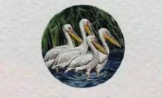 令人感慨的一句话，关于友情和随岁月流逝的情感变化