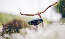 深感对公司未来前景失去信心的言辞