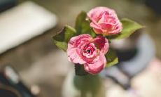 经典电影台词:在电影中描述友谊的感人句子,带你感受情谊的力量!