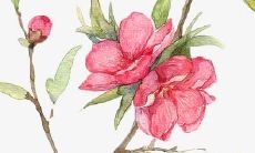 从幽默说笑中培养友谊——摘录最优秀的友情幽默句子