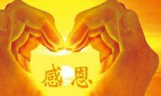 无私付出的爱与帮助:表达感恩之情的最美句子