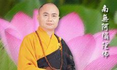 通过慧律法师禅语学习佛理：100句深刻的佛法思考与禅悟技巧【第11集】