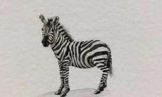 精彩纷呈的战友情深、令人难忘的美好短语！