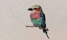 记录用于备胎的友情句子，以备日后使用