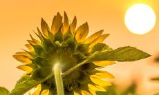 表达对离别室友的深刻感情与不舍之情