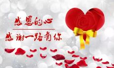 延续感恩老人的情感，传递敬老爱老的价值观 - 最感动人心的感恩老人句子