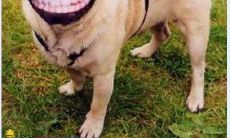 用童言无忌表达情感:吐露内心世界的幼稚言辞