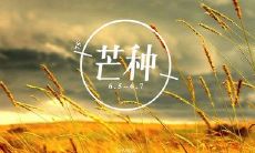 ——探究中国传统文化中芒种节气的起源和相关习俗