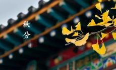 分享30句唯美的秋分心情句子,让你的朋友圈更加有气质和情趣