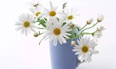 精心挑选的超棒阳光文案集合：鼓励你勇往直前、积极向上的文案