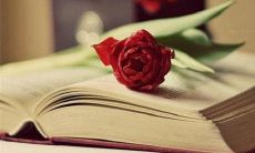 廉政守则:作为公民,我们应该不断提醒自己,遵守法律,遵守职业道德,保持诚信正义,避免贪污腐败,成为诚实守信的模范,为社会和谐作出贡献