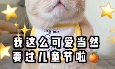 一些适合六一儿童节发的简短句子,让孩子们感受到节日的气氛和关爱