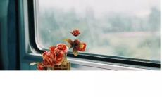 有没有一句话能够表达出我内心深处的痛苦和痛心？