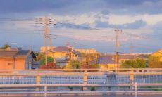 50条夏日必读的适合夏天的句子,让你感受耳畔的清凉和心间的温暖