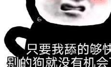 当臭宝成为狗粉的文案:揭秘臭宝舔狗文案的背后故事与心理机制