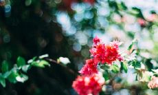 他兴致勃勃地高声呐喊，喜悦洋溢着全身