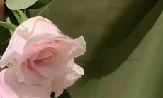 满怀深情但带着遗憾的心境所表达的句子