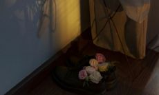 探究对爱情心灰意冷以及对爱情伤透绝望表达的短句和句子