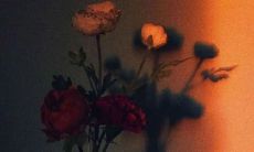 普普通通却鲜活跃动的文案,如此吸睛让你惊叹良久!