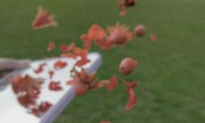 ——读后感受深刻的句子,值得被引用和传颂的经典语句