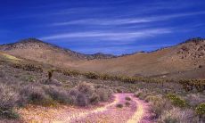 让你快乐无比的风筝放飞，令人陶醉的风筝飞翔：描绘放风筝时的畅快感觉的精彩描述