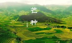 汇总2022年芒种节气的各地谚语及含义,打造最全面的芒种节气谚语大全