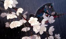 一份收集了众多适合摘抄、充满仙气飘飘的句子的清单