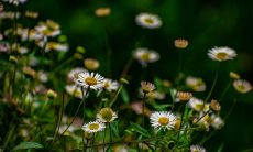 有哪些可以表达祝福他人并鼓励其保持开心态度的句子呢？