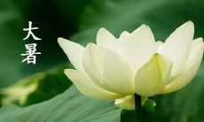 的传统文化和习俗，让我们更好地了解和体验这个夏季节气的内涵和风情