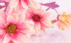 像一个快乐的小孩子一样无忧无虑的表达方式